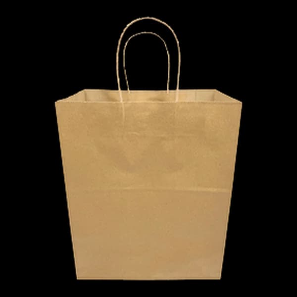 Kraft Handle Bags