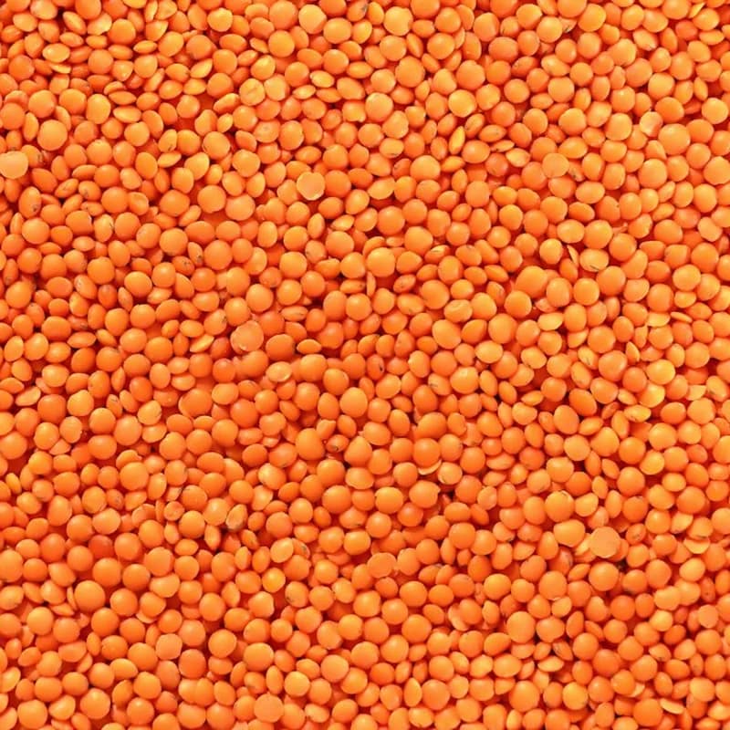 Red Lentils